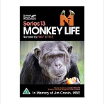 MONKEY LIFE SERIES 13.